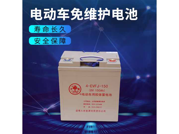 電動車免維護電池