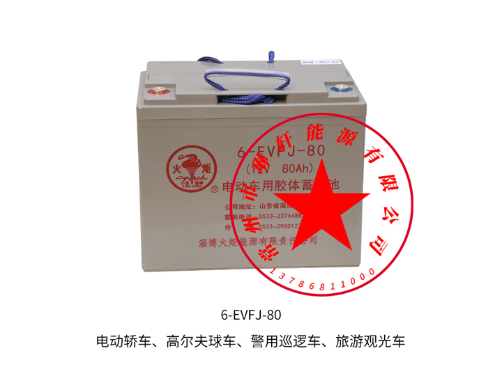 電動車免維護電池